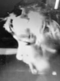 MONOGURUI mighu-bib: (PROTOTOPE)