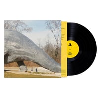 Image 1 of Sandri - Animalerie (LP Pre-Order)
