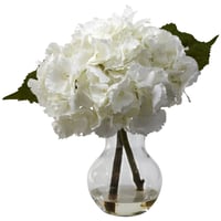 Blooming Hydrangea