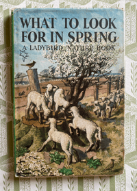 Image 1 of What to look for in Spring a Ladybird nature book