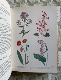Image 2 of The Book of Garden Flowers by G.Phillips