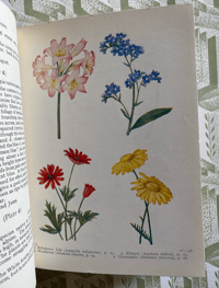 Image 4 of The Book of Garden Flowers by G.Phillips