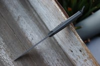 Image 2 of Marauder compact No. 161