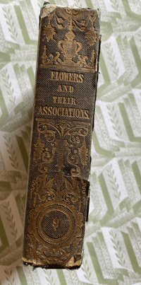 Image 3 of Flowers And Their Associations by Anne Pratt