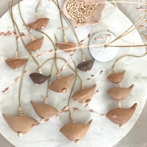 Image of LES OISEAUX