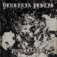 Yersinia Pestis - Putrefactio LP