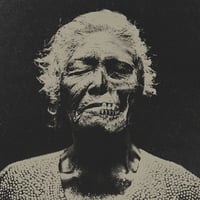 Vidres a la Sang - Virtut del desencís LP