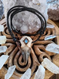 Image 1 of Rainbow moonstone Raven pendant 