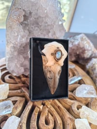 Image 2 of Rainbow moonstone Raven pendant 