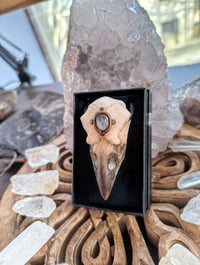 Image 5 of Rainbow moonstone Raven pendant 