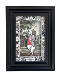 The white rabbit