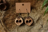 Image 2 of Black Walnut Earrings