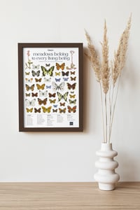 Image 2 of MEADOWS BELONG TO EVERY LIVING BEING