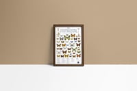 Image 3 of MEADOWS BELONG TO EVERY LIVING BEING