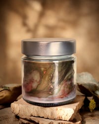 Image 3 of Vela Outlander