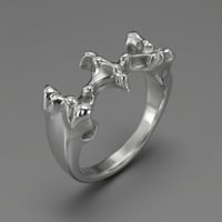 Image 1 of Ring 01: Instar