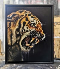 Image 2 of Tiger