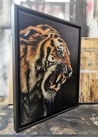 Image 3 of Tiger