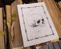 Image 2 of STRANGERS IN EVERY LAND //  Poster