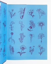 Image 2 of Asterios Polyp by David Mazzuchelli