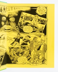 Image 2 of Reincarnation Stories by Kim Deitch