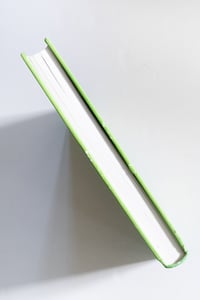 Image 10 of Reincarnation Stories by Kim Deitch