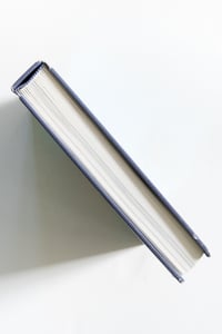 Image 12 of The New World: Comics from Mauretania