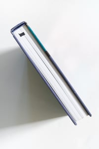 Image 11 of The New World: Comics from Mauretania