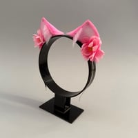 Image 2 of Pink Blossom Kitten