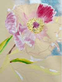 Image 3 of Peony - oil pastel drawing on paper