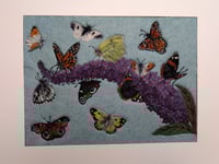 Image 2 of Butterfly Bush