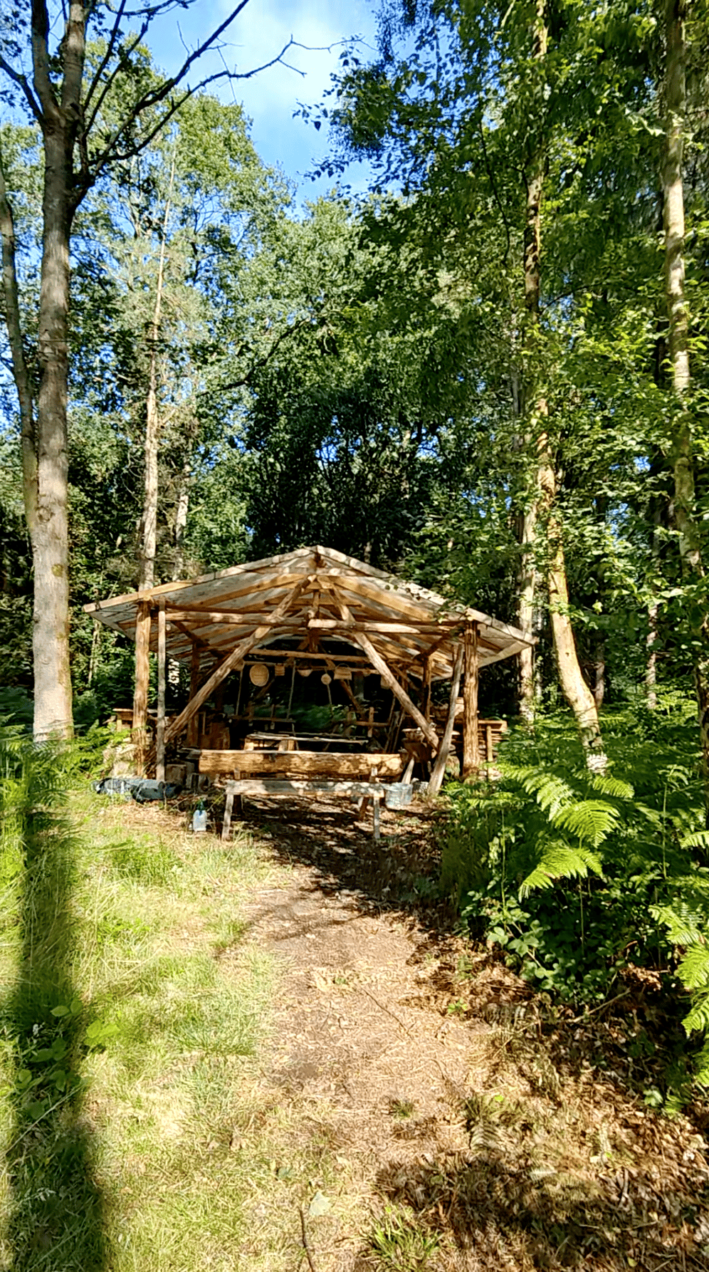 Image of Two-day ash splint basketry course Ellekers Woods June 6th-7th 2026