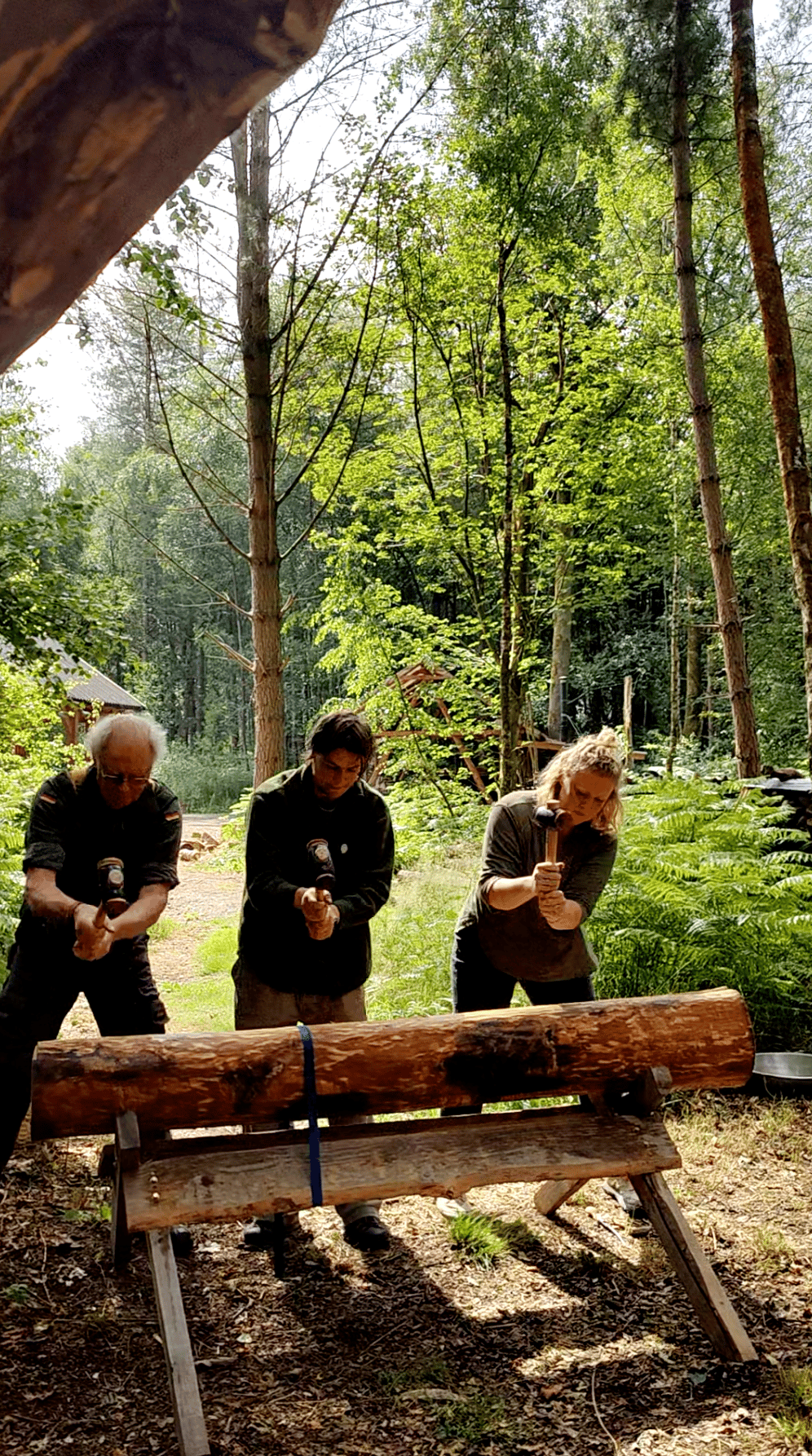 Image of Two-day ash splint basketry course Ellekers Woods June 6th-7th 2026