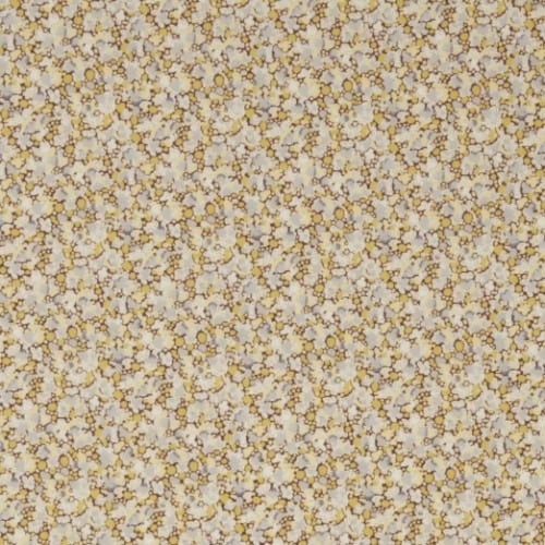 Image of PEPPER ( V )