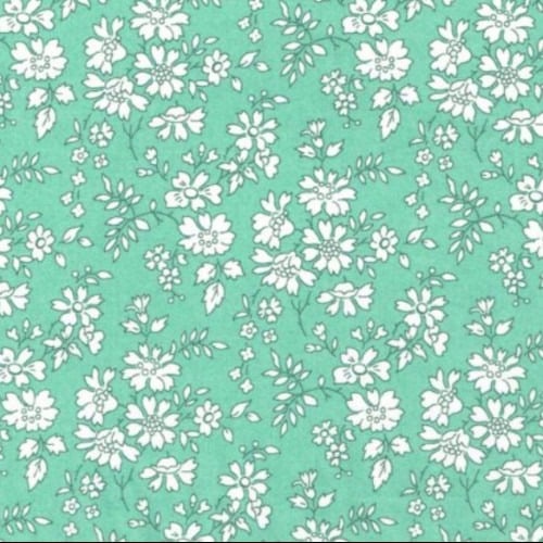 Image of  CAPEL ( X )  Chocochip mint