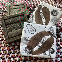 Image 1 of MOKA LOCA SCRUB