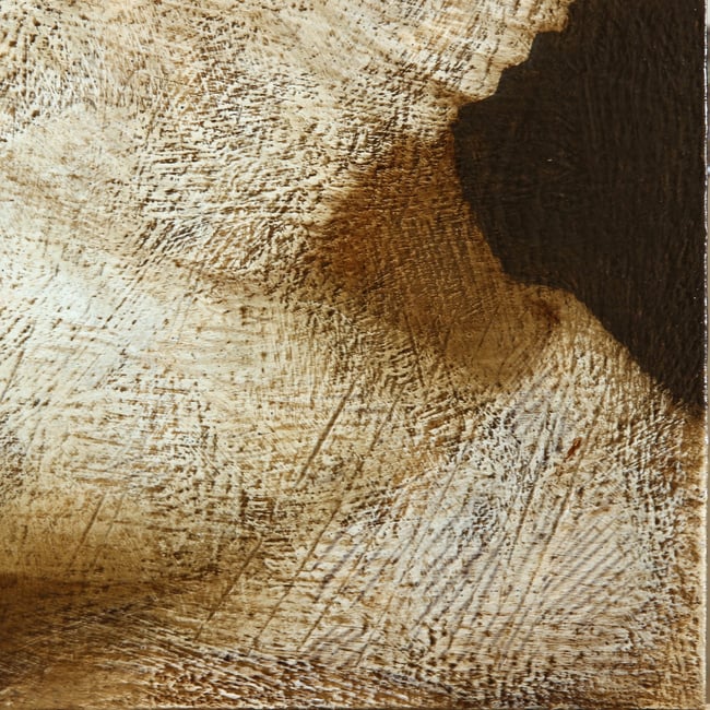 Woman with a bird VIII