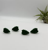 Image 2 of Alocasia Studs