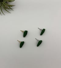 Image 3 of Alocasia Studs