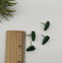 Image 4 of Alocasia Studs