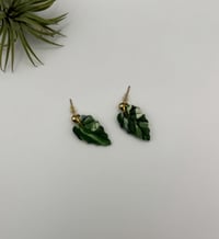 Image 1 of Marbled Alocasia Dangles