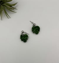 Image 1 of Monstera Dangles