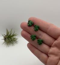 Image 2 of Monstera Studs