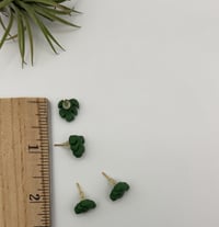 Image 3 of Monstera Studs