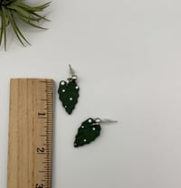 Image 2 of Spotted Begonia Dangles