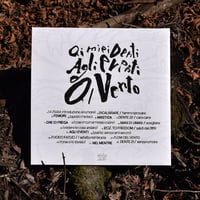 Image 2 of maggio - AI MIEI DENTI, AGLI EVENTI, AL VENTO 2xLP