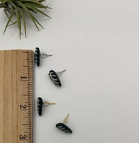 Image 3 of Alocasia Studs (white veins)
