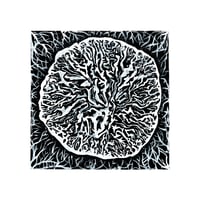 Image 2 of Cross Section