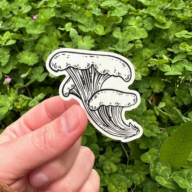 Sticker Sheets - Forager & Good Luck