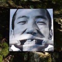 Image 1 of maggio - AI MIEI DENTI, AGLI EVENTI, AL VENTO 2xLP